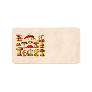 Etiqueta Vintage 1800 Mushroom Variety Red Mushrooms