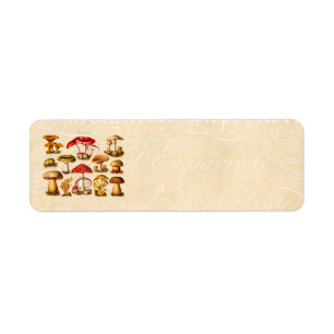 Etiqueta Vintage 1800 Mushroom Variety Red Mushrooms