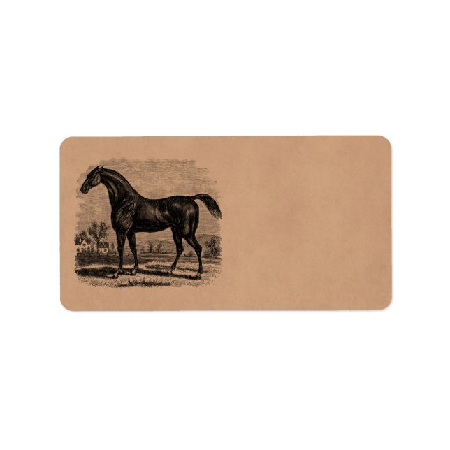 Etiqueta Vintage 1800 Race Horse Retro Cruzado (Frente)