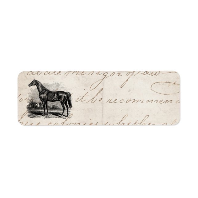 Etiqueta Vintage 1800 Race Horse Retro Cruzado (Frente)