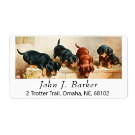 Etiqueta Vintage Cute Dachshund Puppies