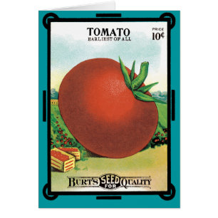 Etiqueta vintage de paquetes de semillas, tomate d