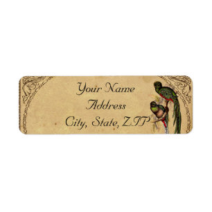 Etiqueta Vintage Quetzal Bird Elegant Return Address