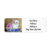 Vintage White Kitten Illustration