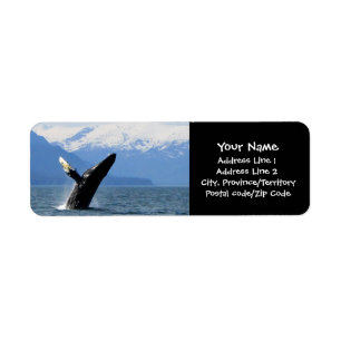 Etiqueta Violación del Humpback
