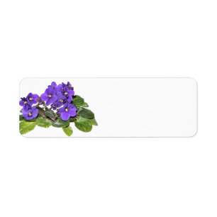 Etiqueta Violencia africana