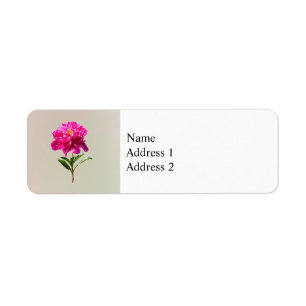 Etiqueta Vivid Pink Peony