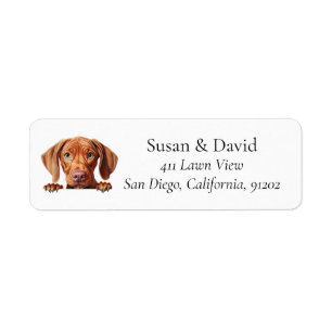 Etiqueta Vizsla Perro Raza Pet Avers