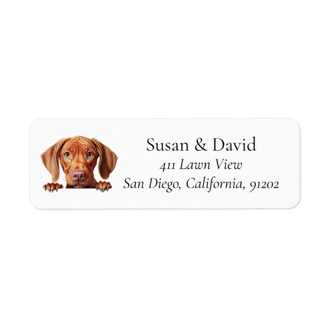 Etiqueta Vizsla Perro Raza Pet Avers (Frente)