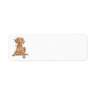 Etiqueta Vizsla Sentado Dibujo Animado