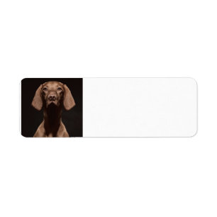 Etiqueta Vizsla Tercero