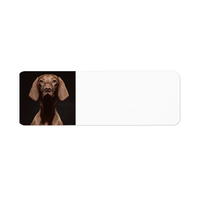 Etiqueta Vizsla Tercero (Frente)