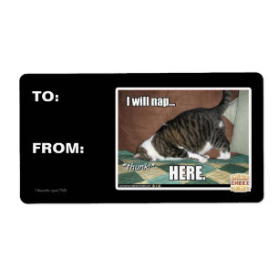 Etiqueta Voy a echarme una siesta aquí