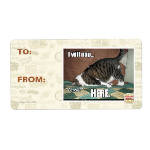 Etiqueta Voy a echarme una siesta aquí