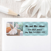 Westie Mirando hacia fuera una ventana