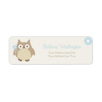 Whimsical Boy Owl Baby Shower