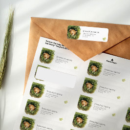 Etiqueta Whimsical Sleepy Baby Bear Baby Shower