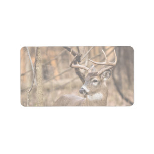 Etiqueta White Tail Deer Buck