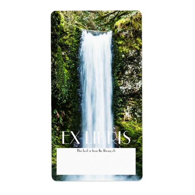 Etiqueta Wiesendanger Falls Pintando placa (Frente)