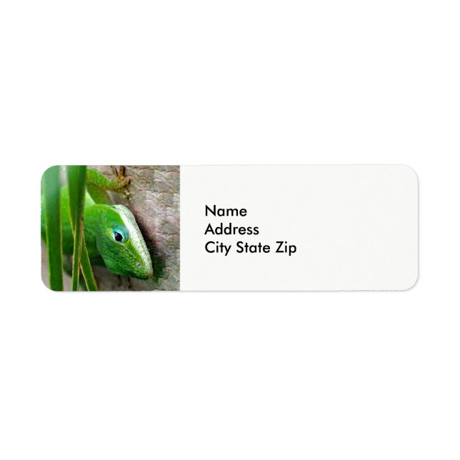 Etiqueta Wildlife Green Carolina Anole Lizard Foto (Frente)