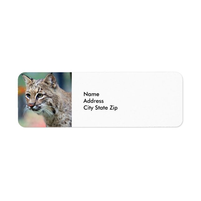 Etiqueta Willife Brown Bobcat Lynx (Frente)