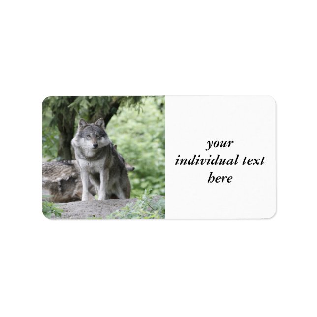 Etiqueta Wolf 14AJ (Frente)