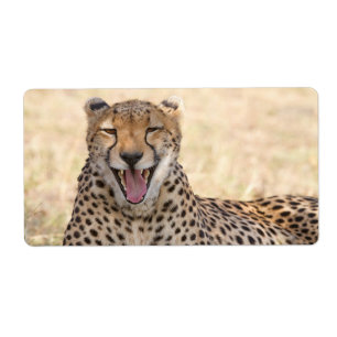 Etiqueta Yawning Cheetah