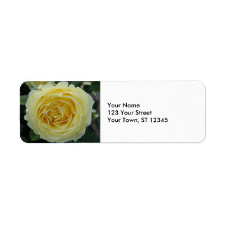 Etiqueta Yellow Rose