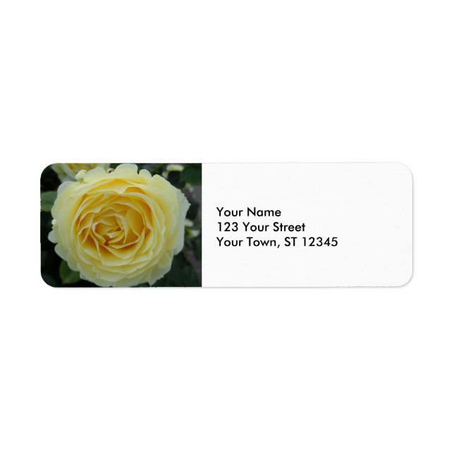 Etiqueta Yellow Rose (Frente)