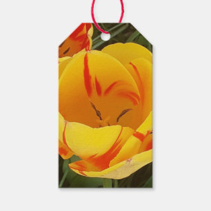 Etiqueta Yellow Tulip Gift