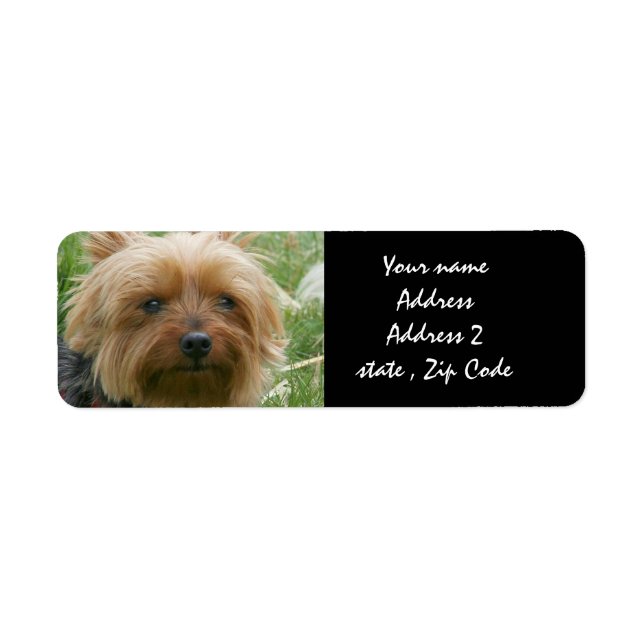 Etiqueta Yorkshire Terrier (Frente)