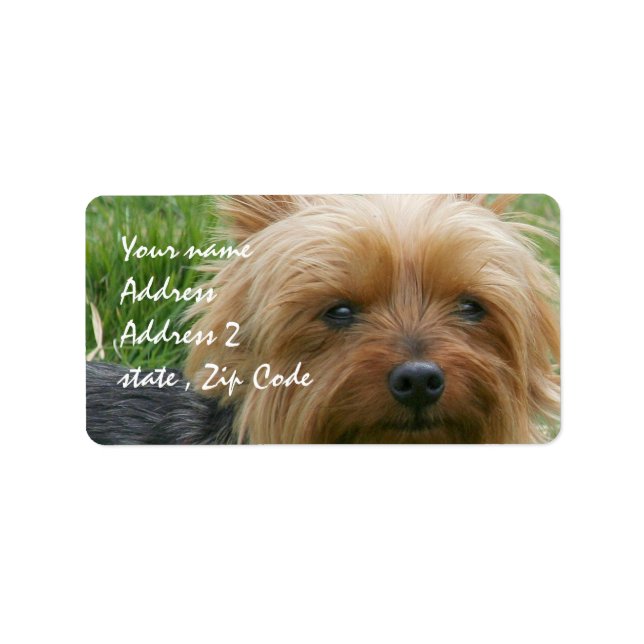 Etiqueta Yorkshire Terrier (Frente)