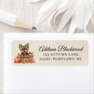 Etiqueta Yorkshire Terrier en una cesta de calabazas