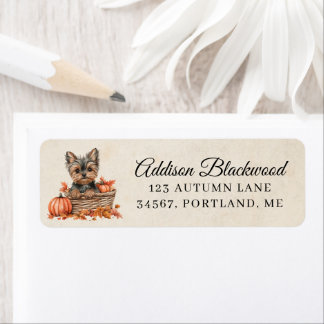 Etiqueta Yorkshire Terrier en una cesta de calabazas