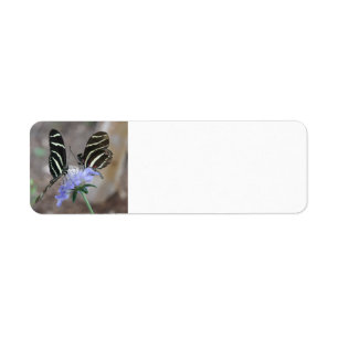 Etiqueta Zebra Butterflies