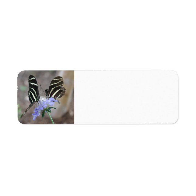 Etiqueta Zebra Butterflies (Frente)