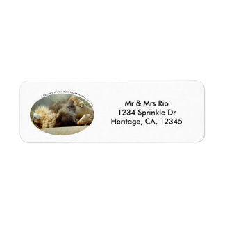 Etiqueta Zoo Lion Dreaming of a Jungle Address Label