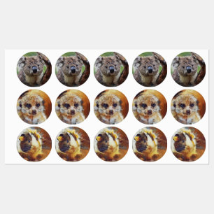 Etiquetas Animales Smartmix 1220