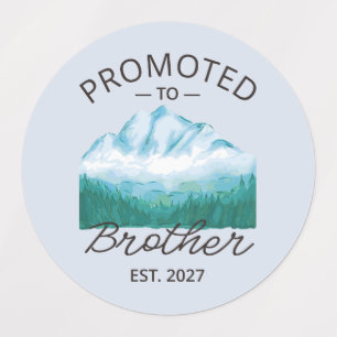 Etiquetas Ascendido a Hermano Est 2027 Big Brother VI