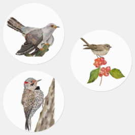 Etiquetas Aves de bosque acuáticas