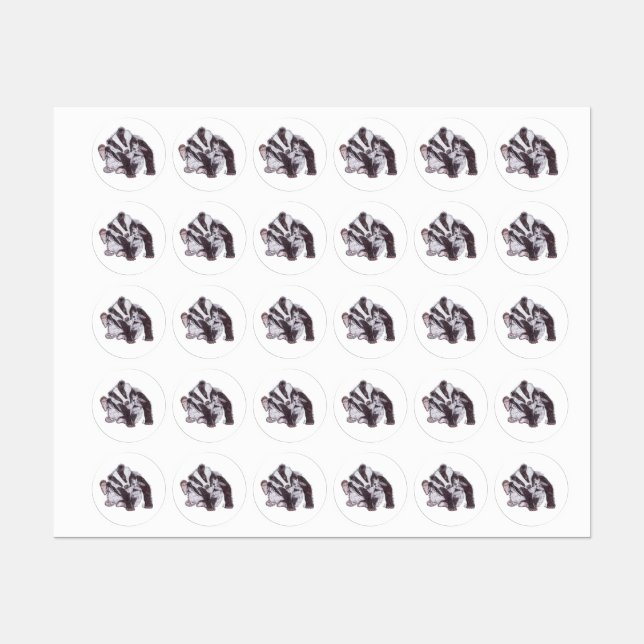 ETIQUETAS BADGER (Hoja)