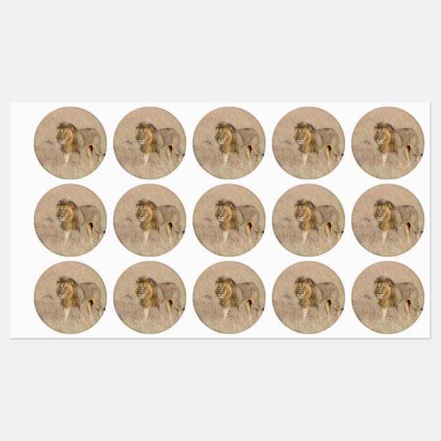 Etiquetas Caminata de leones (Hoja)