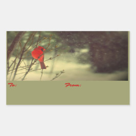 Etiquetas cardinales del regalo de vacaciones