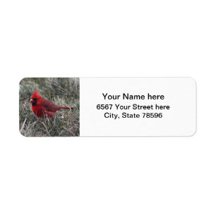 Etiquetas cardinales rojas del remite