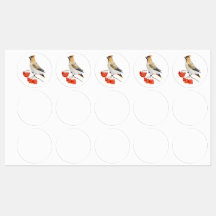 Cepillo de aves de la selva acuarela