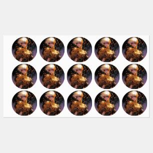 Etiquetas Chica Anime de la Fiery Dorada Fantasy