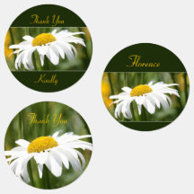 Daisy blanco decorativo