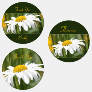 Etiquetas Daisy blanco decorativo