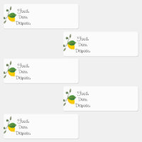 Etiquetas de alimentos de limón lima para la organ