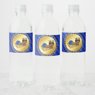 Etiquetas de botella de agua para baby shower del